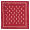 Der Sammler Bandanas<Bandana Parachute Red